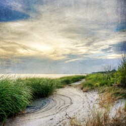 Beach Path
